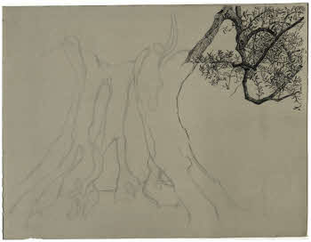 Visualizza l'immagine "FD D 307"